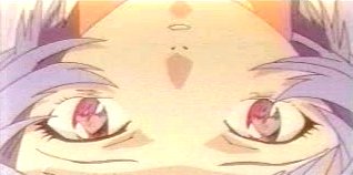 Tiens j'ai cru voir un Kaworu